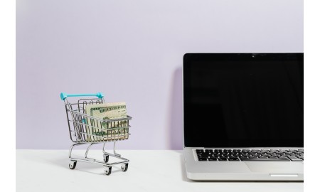 Loans with Guarantee